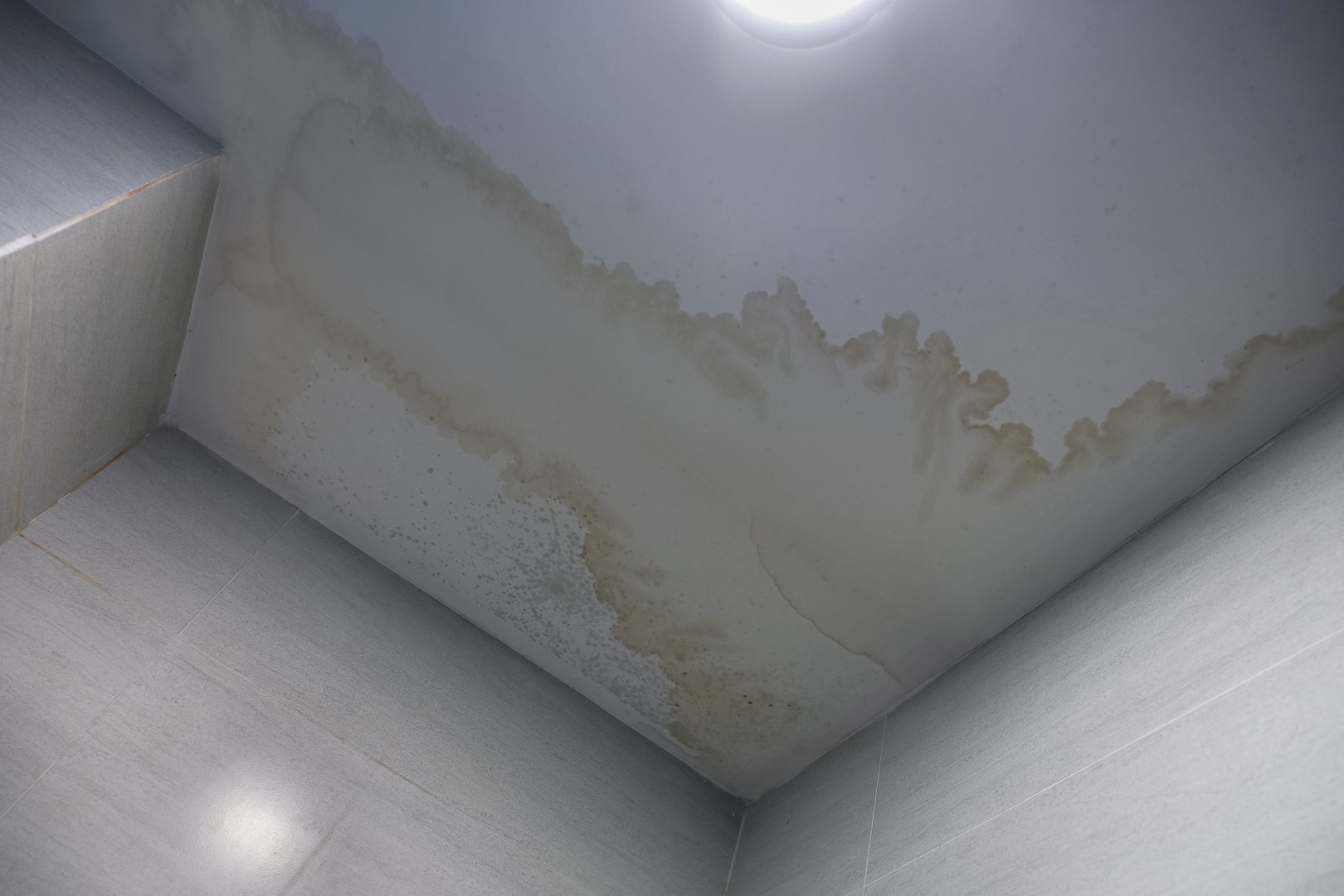 Common Roofing Problems & How to Fix Them